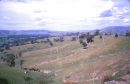 Countryside, Victoria State